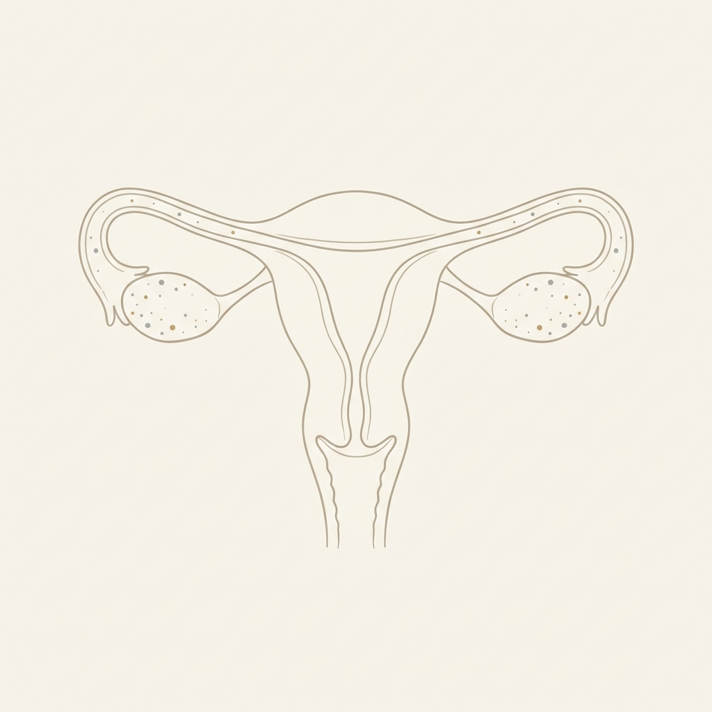 endometrioza illustration
